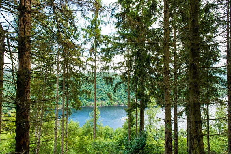 Ein Streifzug durch den Nationalpark Eifel.